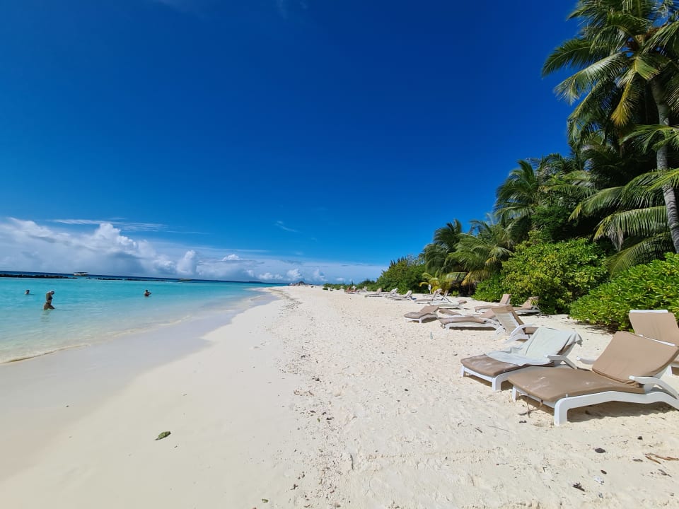 Strand Summer Island Maldives