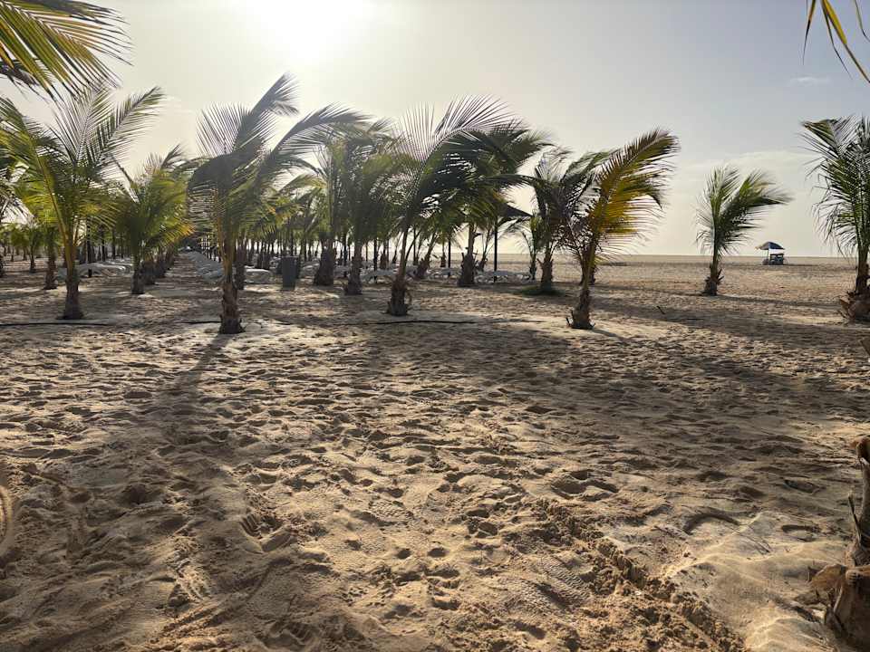 Ausblick Hotel Riu Palace Santa Maria