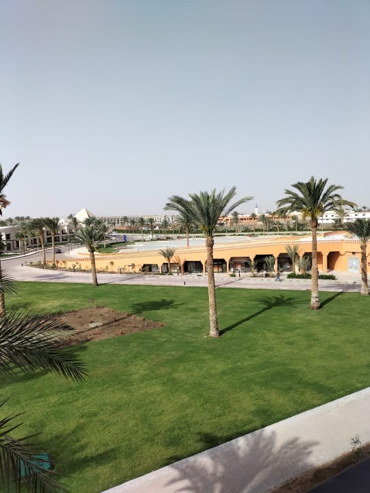 Ausblick Calimera Blend Paradise