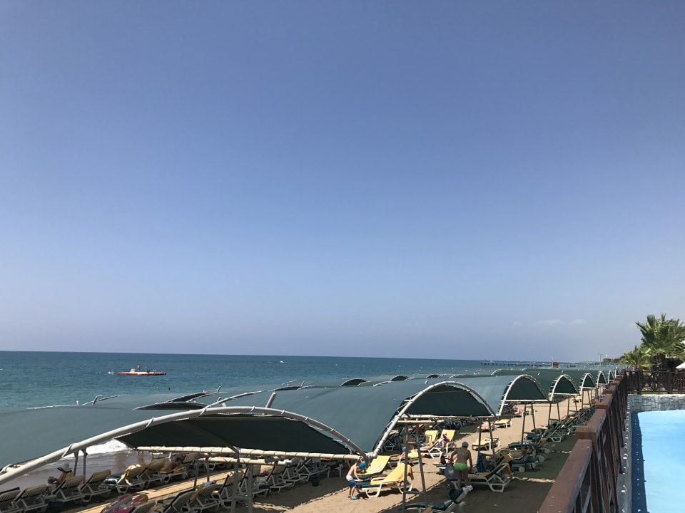 Strand Papillon Belvil