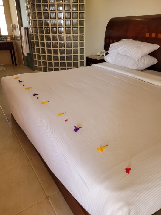 Zimmer Shams Prestige Abu Soma-Adults Only