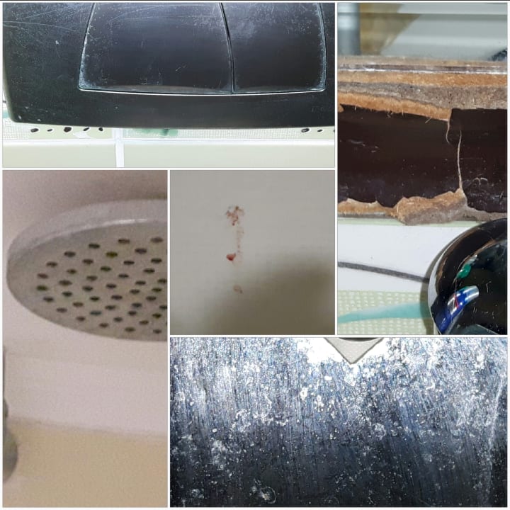 Zimmer Hotel Orfeus Park