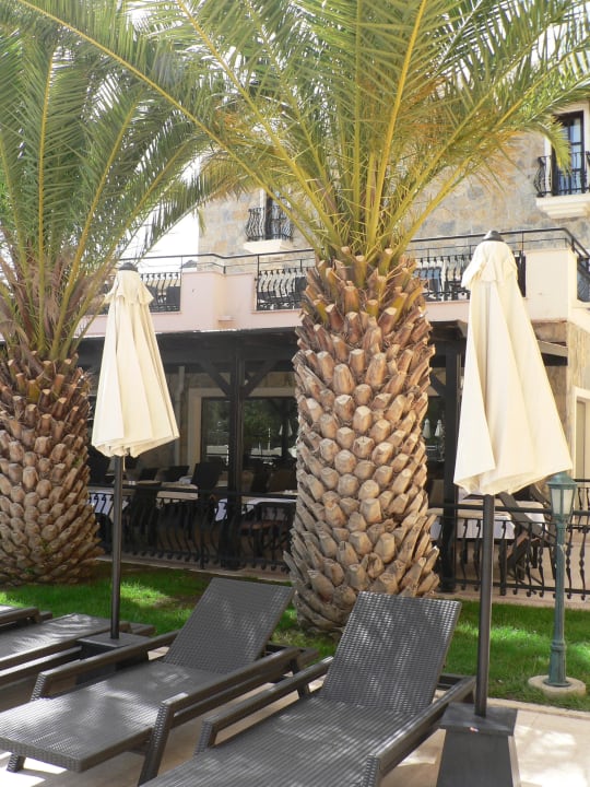 Bij het hoofdgebouw Bodrum Park Resort