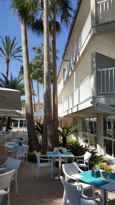 Restaurant allsun App.-Hotel Orquidea Playa