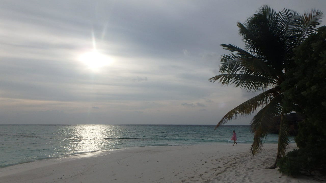 Toller sauberer strand Fihalhohi Maldives