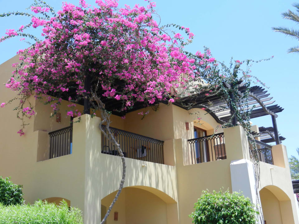 Zimmer Gartenseite Jaz Solaya