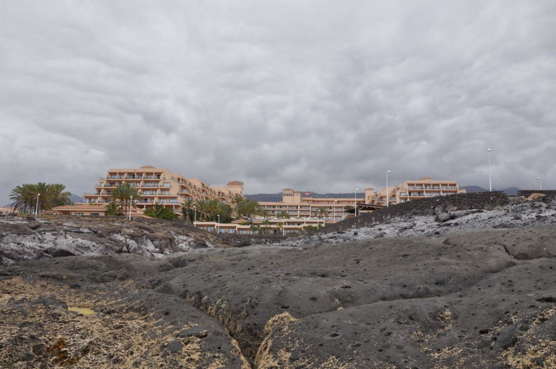 Hotel Hotel Riu Buenavista