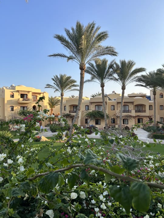 Gartenanlage Steigenberger Coraya Beach - Adults only