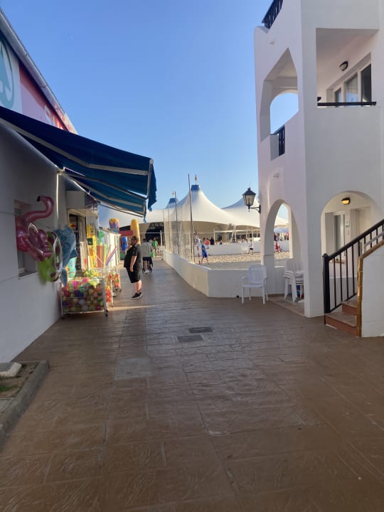 Sonstiges Globales Bouganvilla