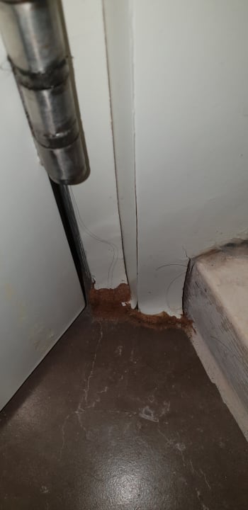 Zimmer Well Palace Side