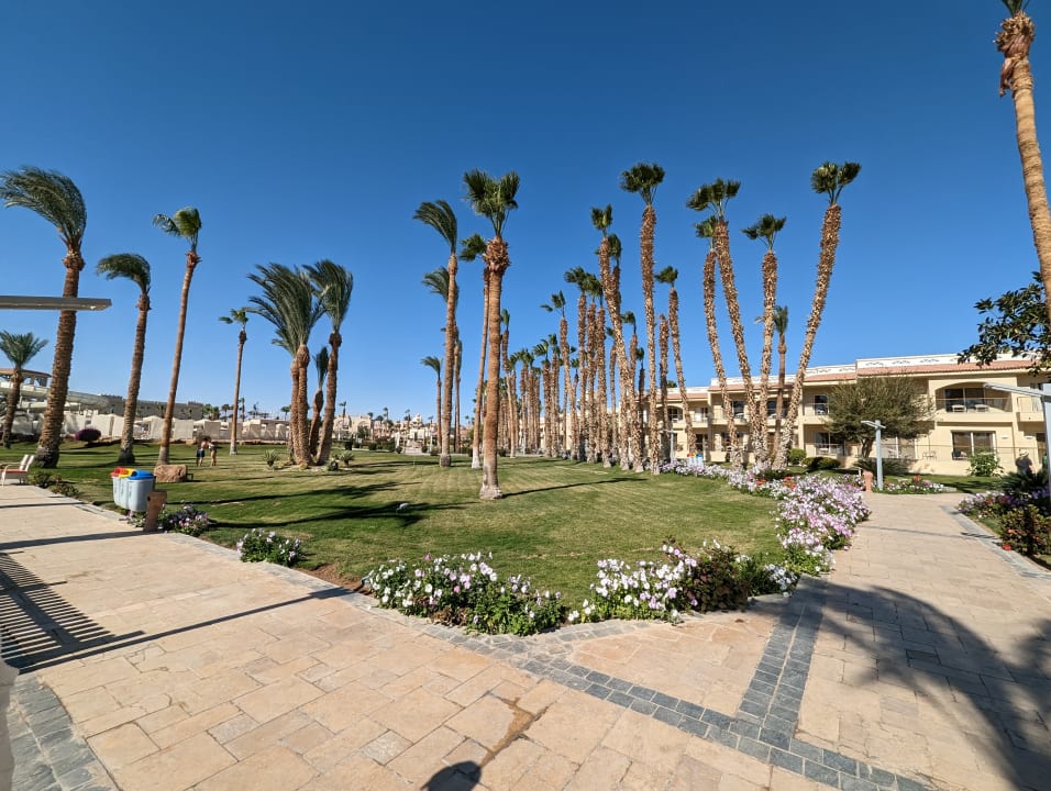 Gartenanlage Beach Albatros Resort