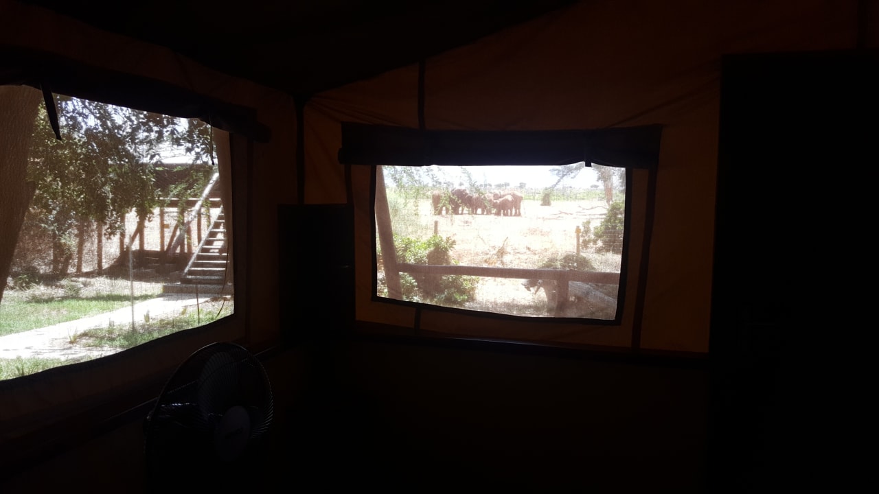 Zimmer Sentrim Tsavo Lodge