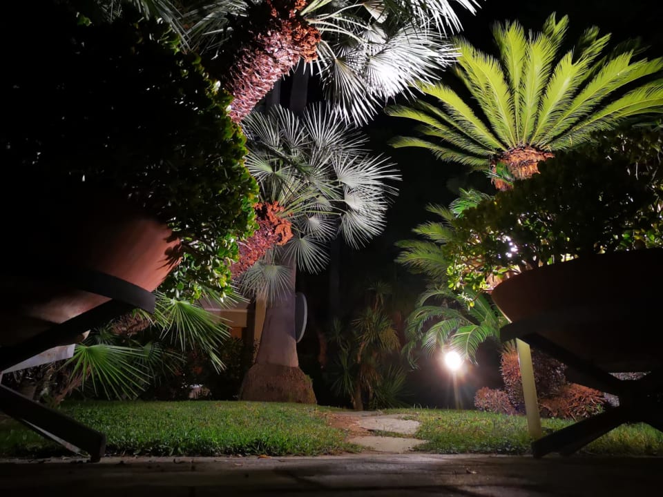 Gartenanlage Hotel Residence Oliveto