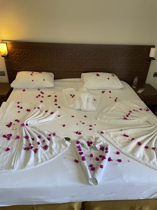 Zimmer Alaaddin Beach - Adults only