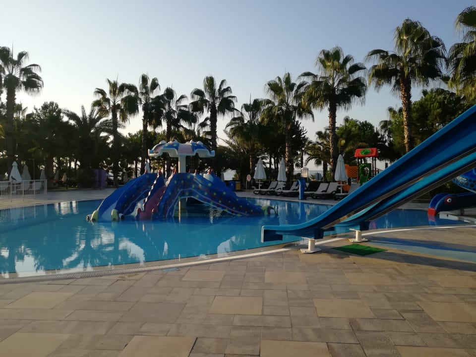 Sport & Freizeit Kamelya Aishen Club