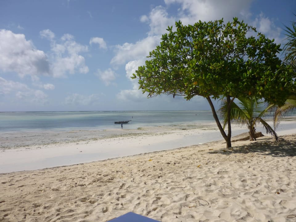 Blick bei Ebbe aufs Meer  Neptune Pwani Beach Resort & Spa