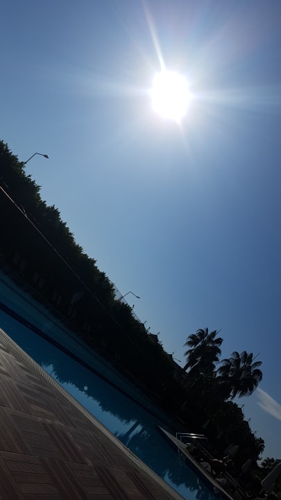 Pool Hane Family Resort