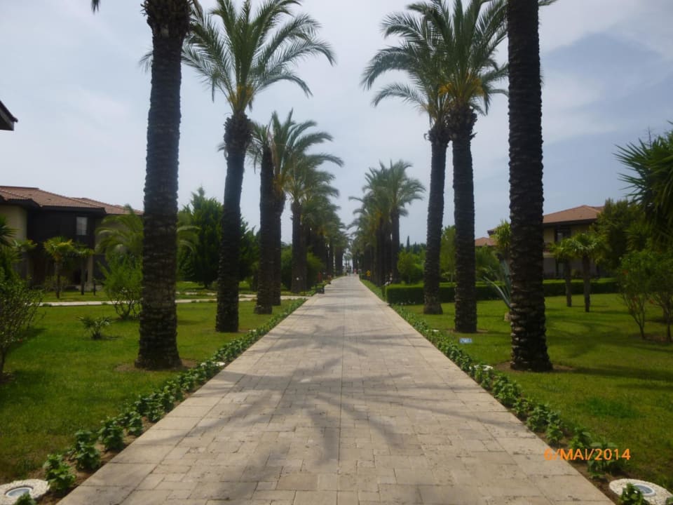 Hauptweg TUI BLUE Palm Garden