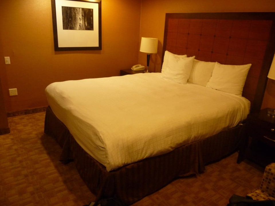 Doppelbett Best Western Inn at Palm Springs Hotel