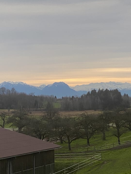 Zimmer Trautesheim Ferienwohnungen