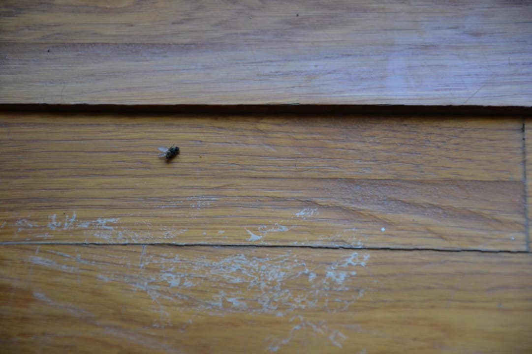 Zimmer 308 Pearl Beach