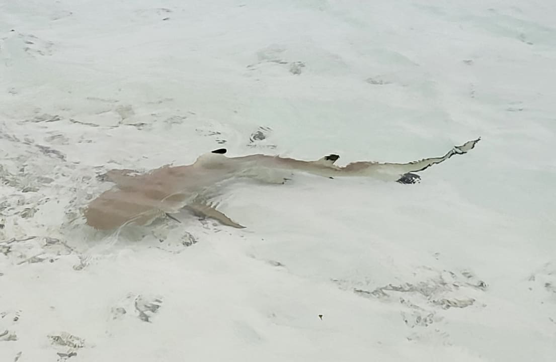 Sport & Freizeit Adaaran Select Hudhuran Fushi - Premium All Inclusive