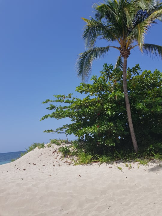 Strand Grand Paradise Playa Dorada