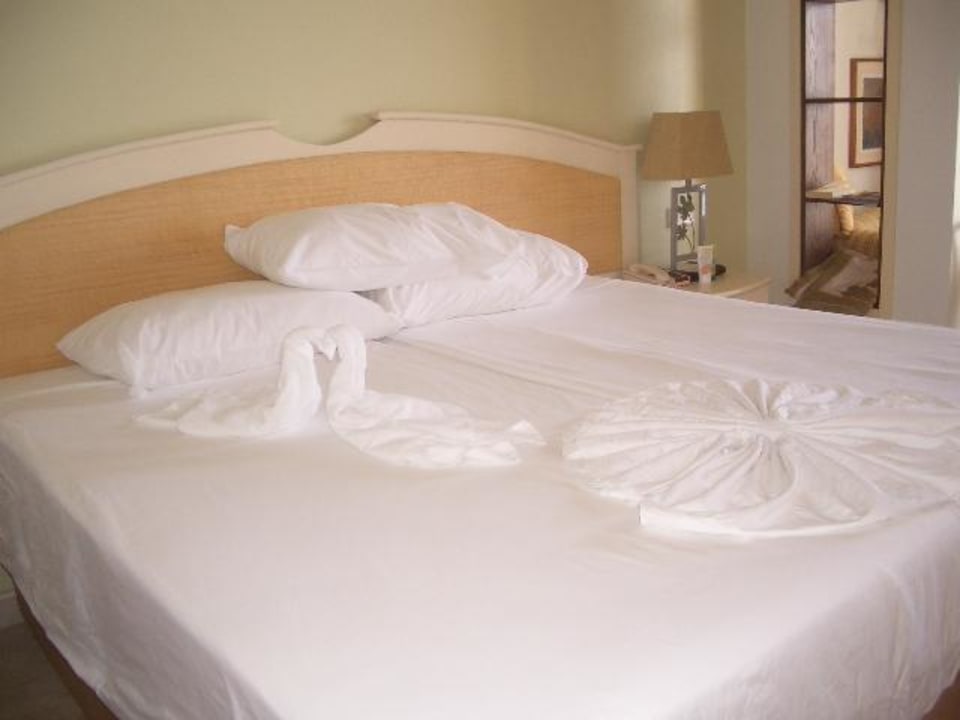 Zimmer PALOMA Perissia