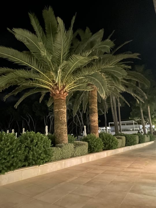 Gartenanlage Iberostar Waves Playa de Muro