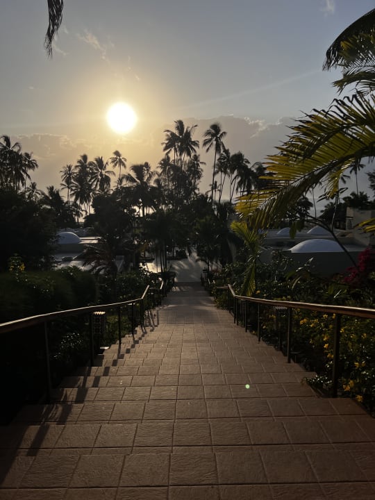 Gartenanlage TUI Blue Bahari Zanzibar