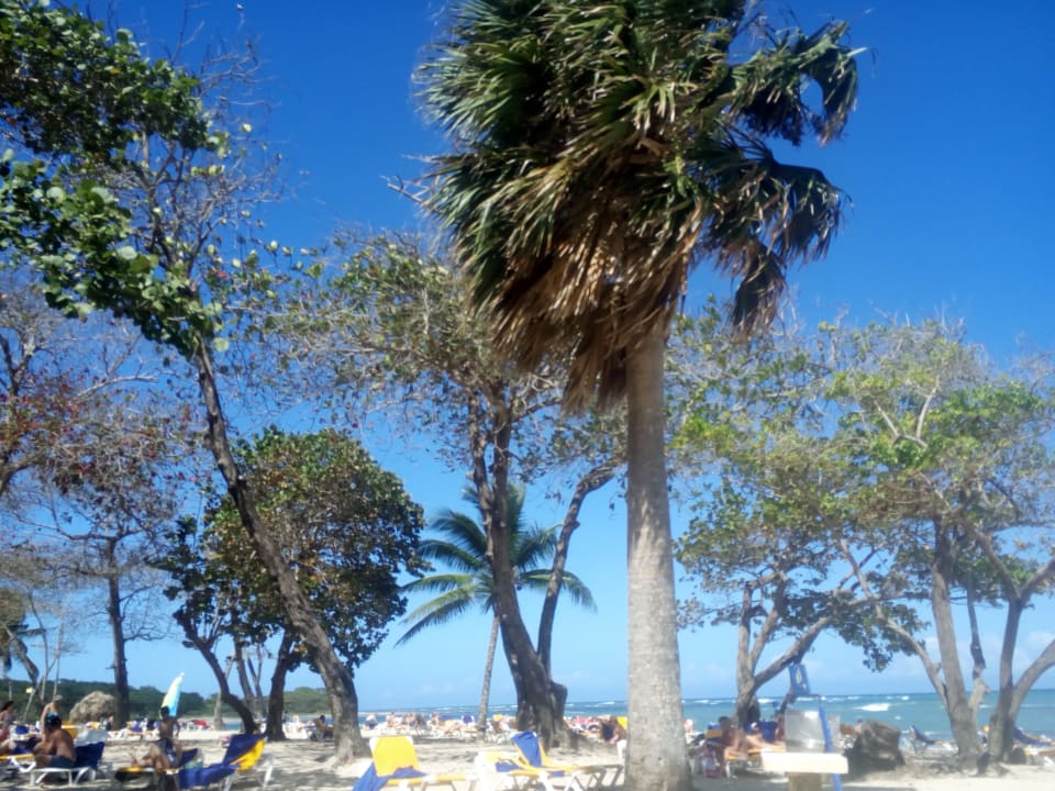 Strand Iberostar Waves Costa Dorada