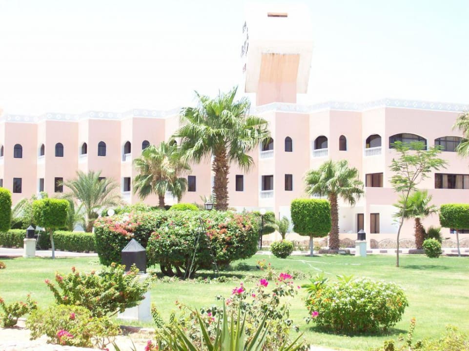 Gartenlandschaft Beach Albatros Resort