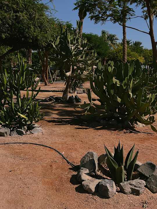 Gartenanlage Steigenberger Aqua Magic