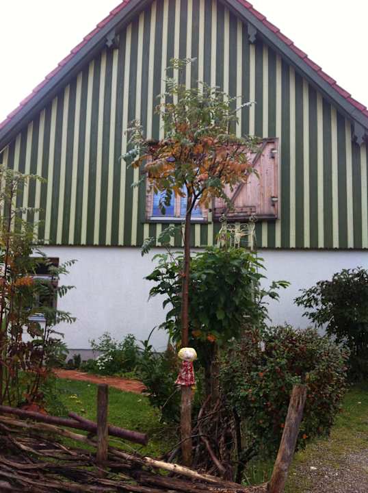 Das schöne kleine Haus von außen  BioPension Kirschenfee