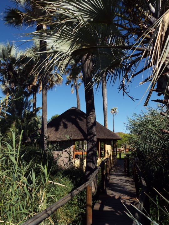 Steg zum zweiten Pool mit Poolbar Palmwag Lodge