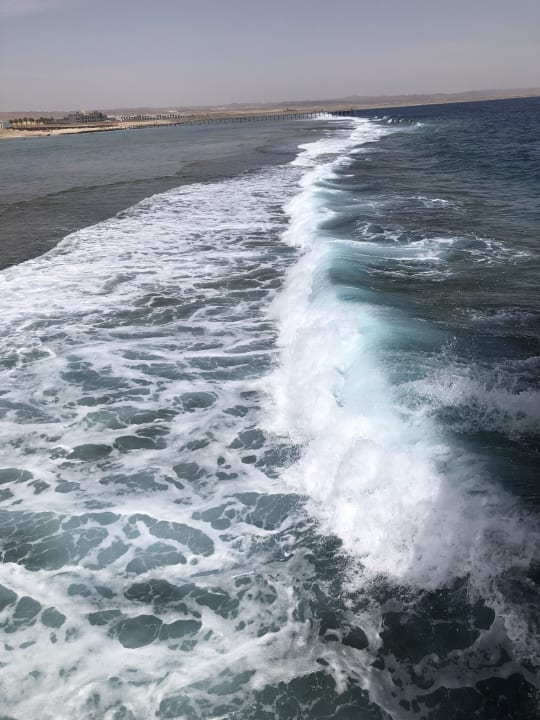 Strand Pickalbatros Sea World Resort - Marsa Alam