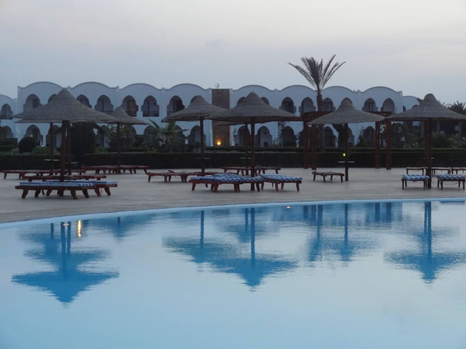 Restaurent Hotel Gorgonia Beach Resort