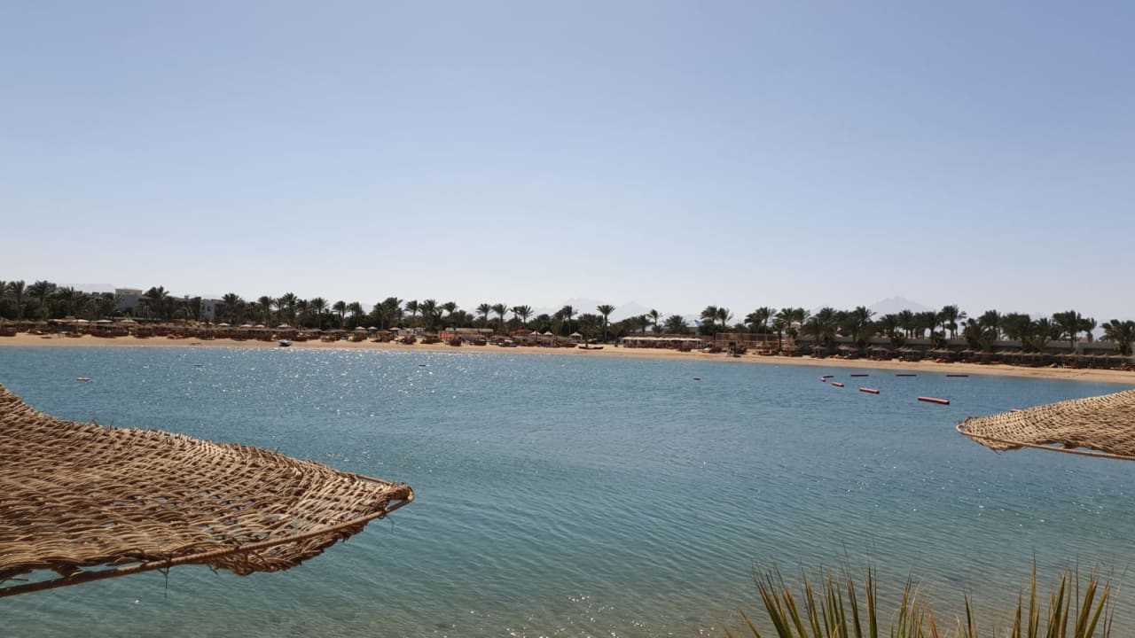 Ausblick Desert Rose