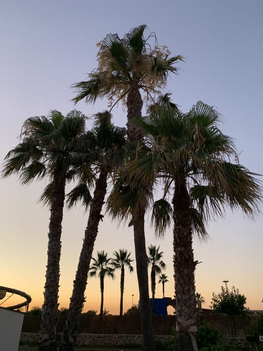 Gartenanlage Marinda Garden Aparthotel