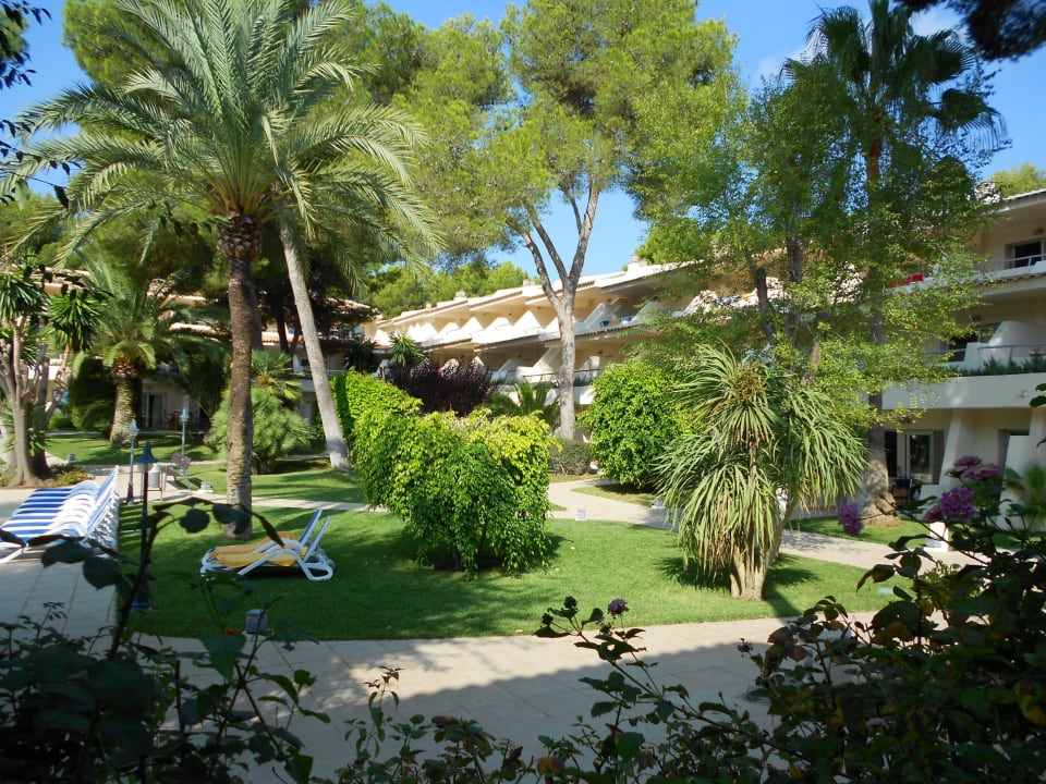 Blick von unserer Terrasse Iberostar Waves Pinos Park