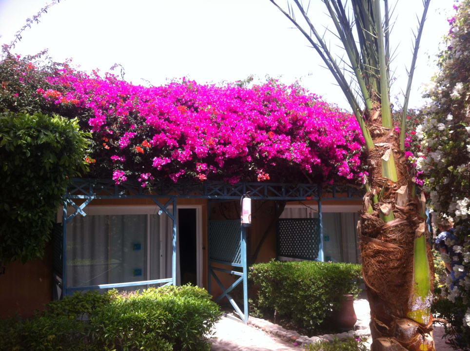 Gartenanlage Giftun Azur Resort