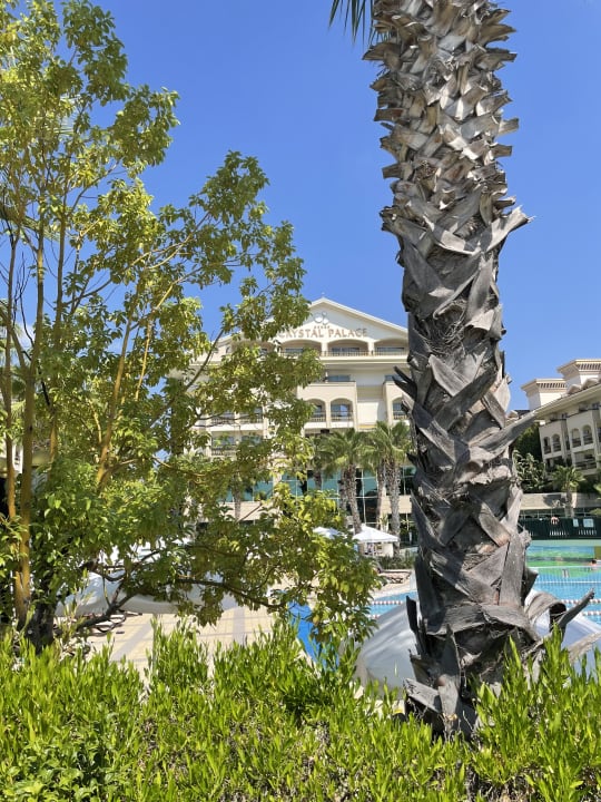 Ausblick Diamond Excellence Resort & Spa
