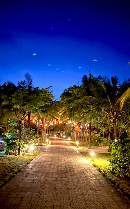 Gartenanlage ROBINSON NAM HOI AN