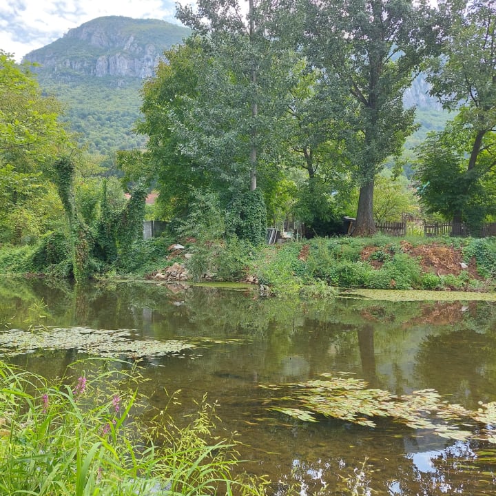 Gartenanlage Pensiune Safrane