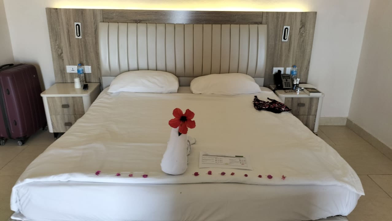 Zimmer Pickalbatros Citadel Resort