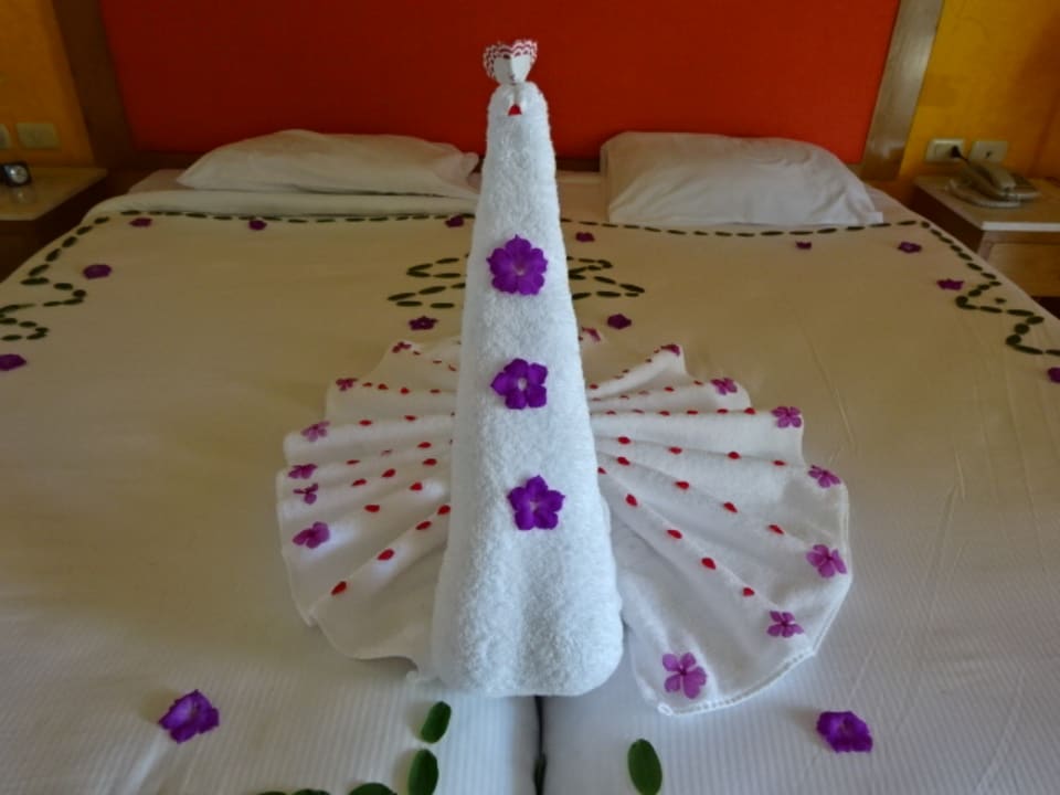 Zimmer Hotel Gorgonia Beach Resort