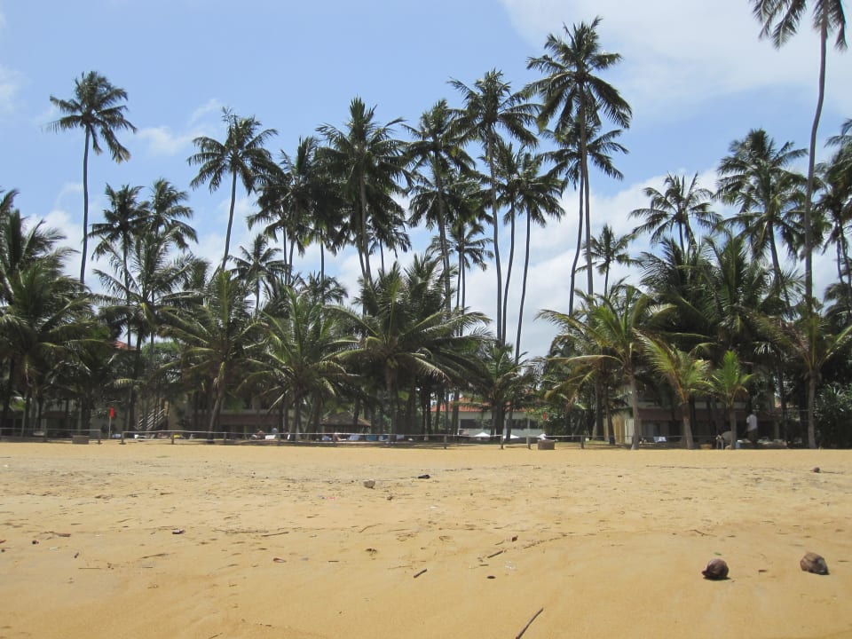 Blick in die Anlage Mermaid Hotel & Club