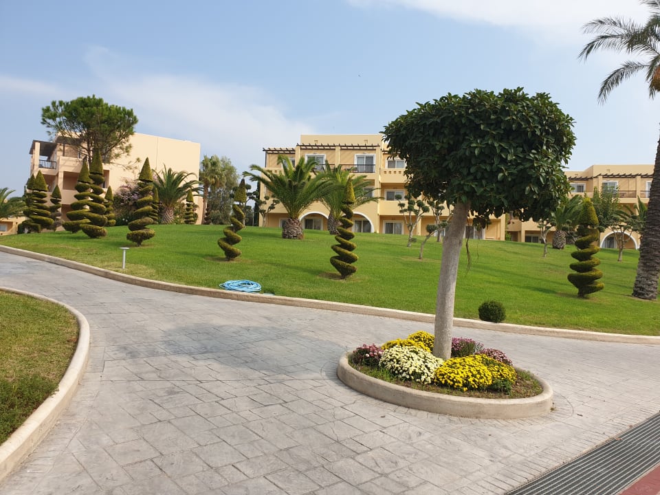 Gartenanlage Hotel Horizon Beach Resort