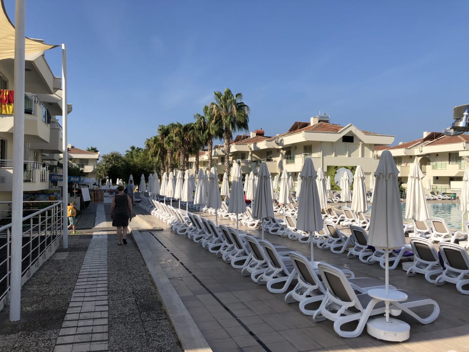 Sonstiges Dream Family Club