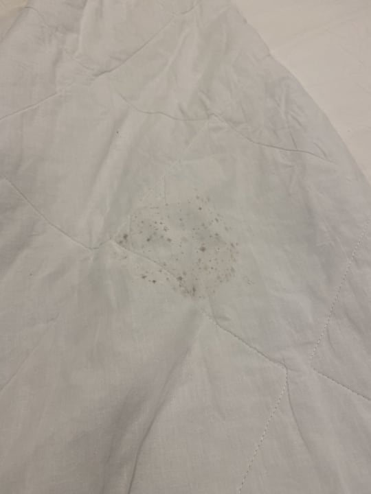 Zimmer Hotel Viva Dominicus Beach by Wyndham - All Inclusive Resort